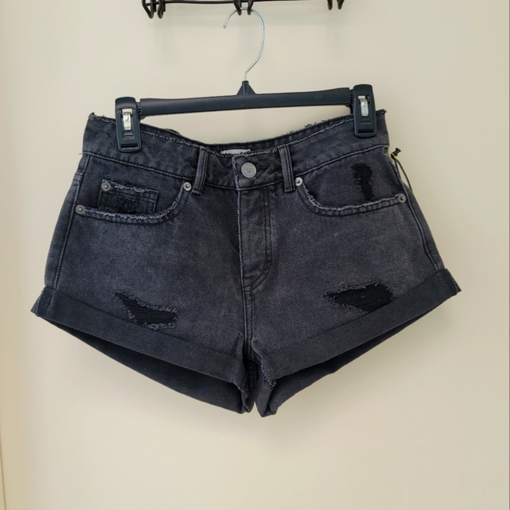 NWT Amuse Society Shorts